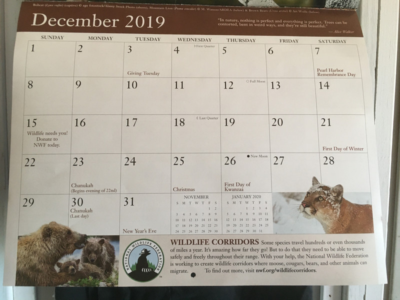 End of 2019/Start of 2020