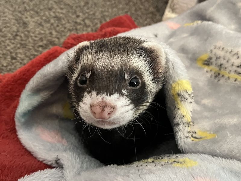 Breaking Out of the Baptist Box