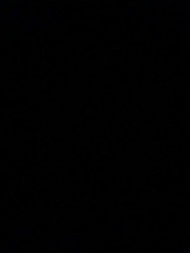 Schwinn Tailwind Service Manuals